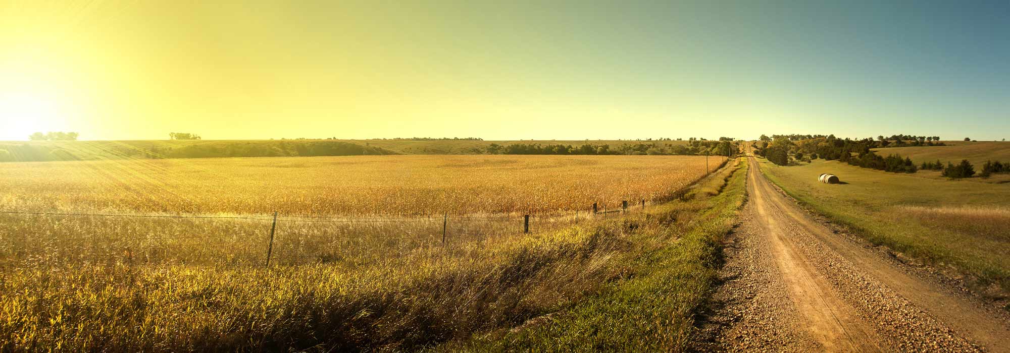 farmland